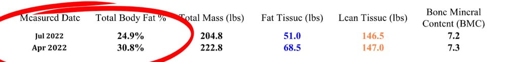 DXA scan results table, Apr – Jul 2022: body fat 30.8% to 24.9%