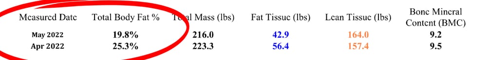 DXA scan results table, Apr – May 2022: body fat 25.3% to 19.8%